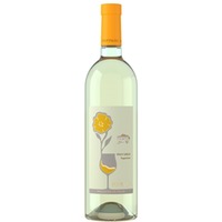Pinot Grigio Superiore Friuli Aquileia DOC - Foffani