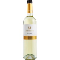 Teperberg Vision Chardonnay Semillion, Yehuda Mountains, Yehuda Mountains, 2023, Weißwein