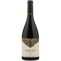 Il Conte Marinus Rosso Piceno Superiore DOP