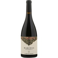 Marinus Rosso Piceno Superiore Dop