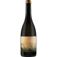Petricore Marche IGP trocken Bio - Tenuta San Marcello