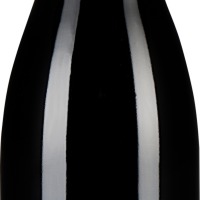 St. Laurent Alte Reben