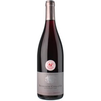 Bourgogne Cote D'Or - Domaine Pansiot