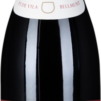 Bellmunt Priorat Vi de Vila