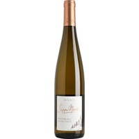 Pinot Blanc Fût de Chêne Alsace AOP BIO - Sipp Mack