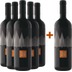 5+1 Paket Sauvignon Friuli Colli Orientali DOC - Ronco dei Pini 