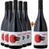 5+1 Paket Rosso Due Vigne Selezione BIO BIO - Snidero Vini 