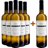 5+1 Paket Ribolla Gialla Venezia Giulia IGP - Villa Vitas