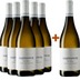 5+1 Paket Ribolla Gialla Friuli Colli Orientali DOC - Bastianich 