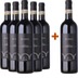 5+1 Paket Altaris Nizza DOCG - Bogge Wine 