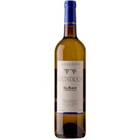 Albariño Gundián - Adega Valdés / Familie Valdés (23,73 CHF pro 1 l)