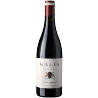 Galia Villages - Bodega El Regajal (58,67 CHF pro 1 l)