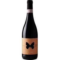 Apollo Colli Aprutini Rosso Anfora bio IGP - Ausonia