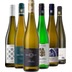 Probierpaket "Riesling my love!" 