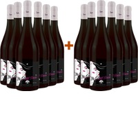 6+6 Paket La dame Blanche BIO - Il Quercetto