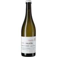 HT Nr. 3 Villa Tolnay: Balaton - Ungarn