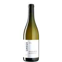 Weißburgunder Ingelheim