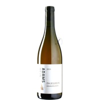 Grauburgunder Ingelheim