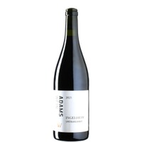 Spätburgunder Ingelheim