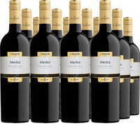 Merlot Trentino DOC Mastri Vernacoli