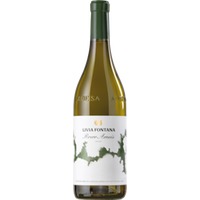 Livia Fontana Roero Arneis DOCG - - Piemont, Italien