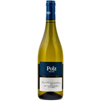 Ried Hochgrassnitzberg Sauvignon Blanc