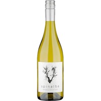 Azienda Agricola Venea Spinalba Bianco Terre di Chieti Abruzzo IGP - - Abruzzen, Italien