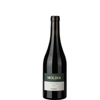 Cottinelli Molina AOC - - Bündner Herrschaft, Schweiz