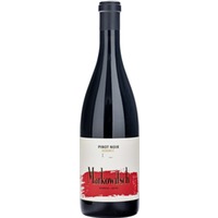 Weingut Gerhard Markowitsch Pinot Noir Reserve 0.75 l Niederösterreich Rotwein