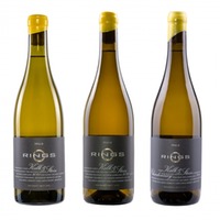 Kalk & Stein Vertikale 2021-2023