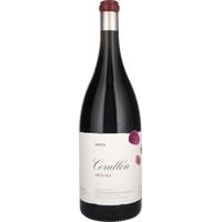 Villa de Corullón - Magnum