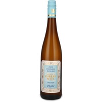 Rheingau Riesling Phyllit trocken
