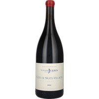 Côtes de Nuits Villages Gerard Julien Magnum