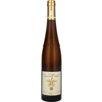 Kastanienbusch Riesling GG
