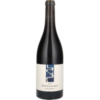 Spätburgunder Hallburg