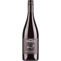 Today's Special Appassimento Puglia IGT - Globus Wine