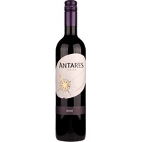 Santa Carolina Antares Merlot - 6Fl. á 0,75l