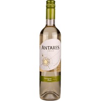 Santa Carolina Antares Sauvignon blanc - 6Fl. á 0,75l
