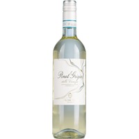 Antiche Terre Venete Pinot Grigio - 6Fl. á 0,75l