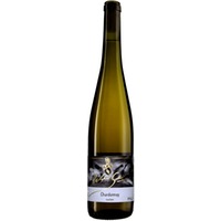 Chardonnay trocken Bio - Weingut Winfried Seeber
