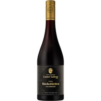 Vigna Bischofsleiten Lago di Caldaro Classico Superiore DOC trocken - Castel Sallegg