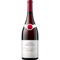 Clos Vougeot Grand Cru - Domaine Bertagna