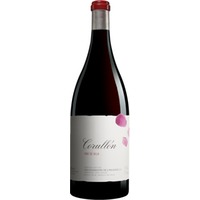 Palacios Bierzo »Villa de Corullón« - 1,5 L. Magnum Spanien Rotwein Trocken