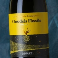 Llopart Clos dels Fòssils