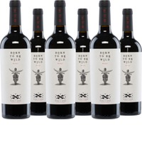 Born To Be Wild Tinto