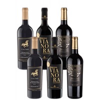 6er-Paket Primitivo-Champions - Weinpaket