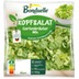 Bonduelle Kopfsalat mit Gartenkräutern 