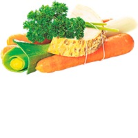 REWE Bio Suppengrün