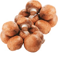 REWE Bio Champignons braun