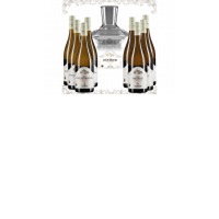 Riedenangebot 8plus Dekanter